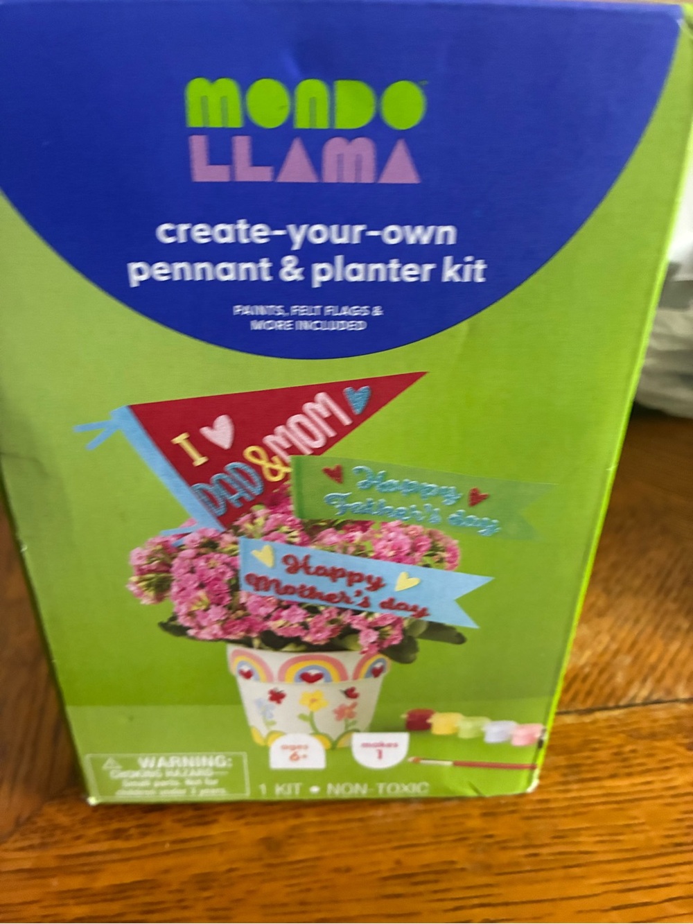 Mondo Llama Create-Your-Own Pennant & Planter Kit – Green